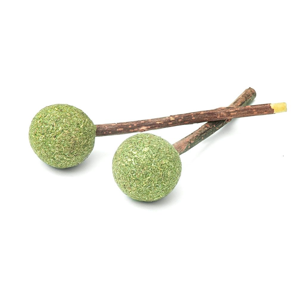 Aumüller Silver Vine Dental Lollipop Cat Treat - 1 Set (2 pieces)