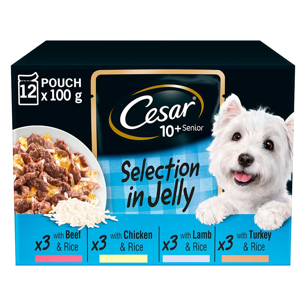 Cesar 10+ Senior Selection in Jelly - 48 x 100g