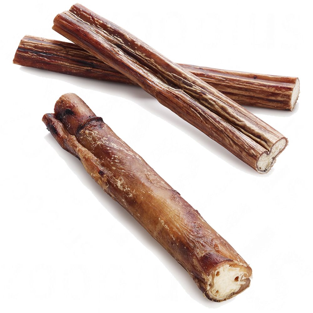 Premium Bull Pizzle - 25 chews