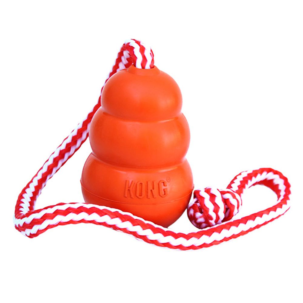 KONG Aqua - Large (10cm)