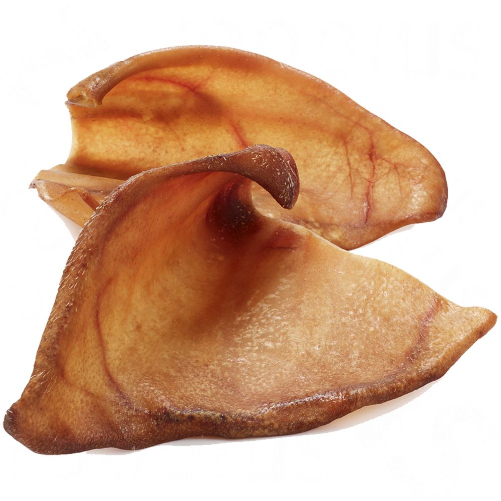 Pigs' Ears - 10 Chews